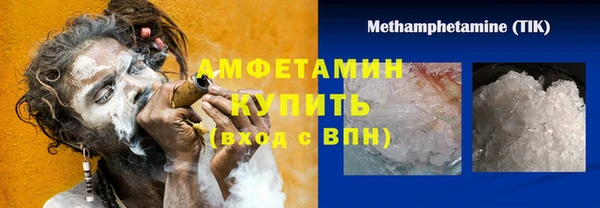 прущие грибы Беломорск