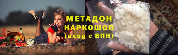 прущие грибы Беломорск