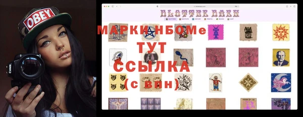 прущие грибы Беломорск