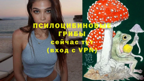 MESCALINE Белокуриха