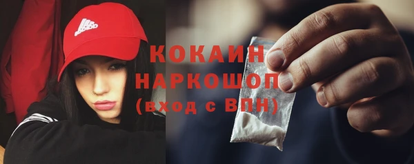 прущие грибы Беломорск