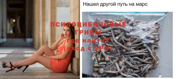 MESCALINE Белокуриха