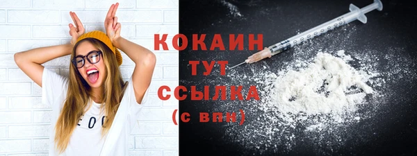 прущие грибы Беломорск