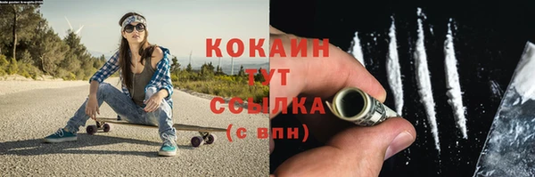прущие грибы Беломорск