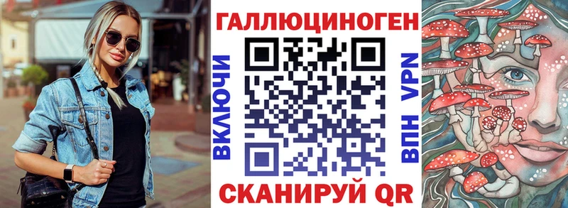 Псилоцибиновые грибы Psilocybine cubensis  Волосово 